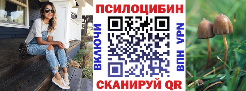 Псилоцибиновые грибы GOLDEN TEACHER  Новотитаровская 