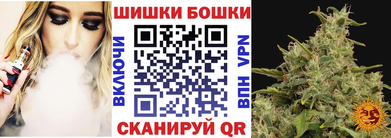 площадка какой сайт  наркота  Новотитаровская  Канабис план 